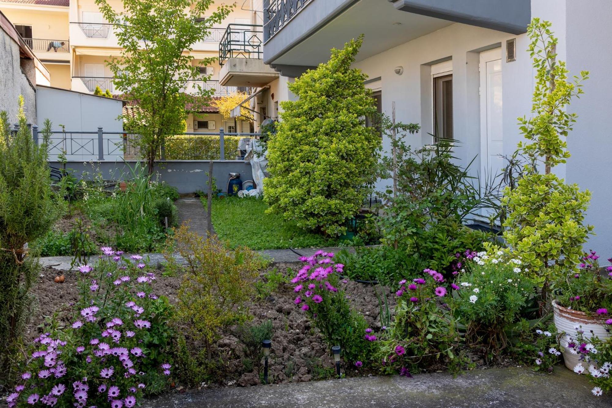 Zant House Daire Tríkala Dış mekan fotoğraf